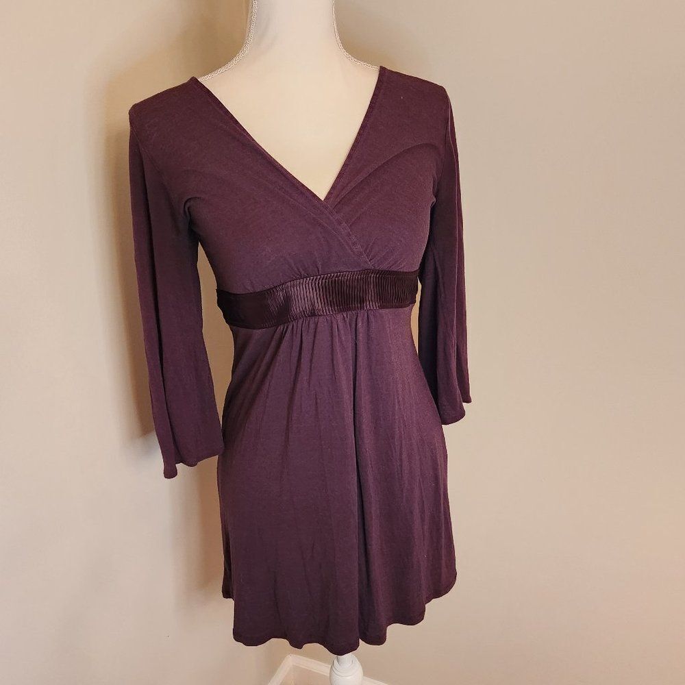 Purple Express Dress